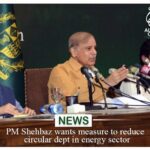 PM Shehbaz Wants Measures to Reduce Circular Debt in Energy Sector