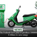 The Federal Government